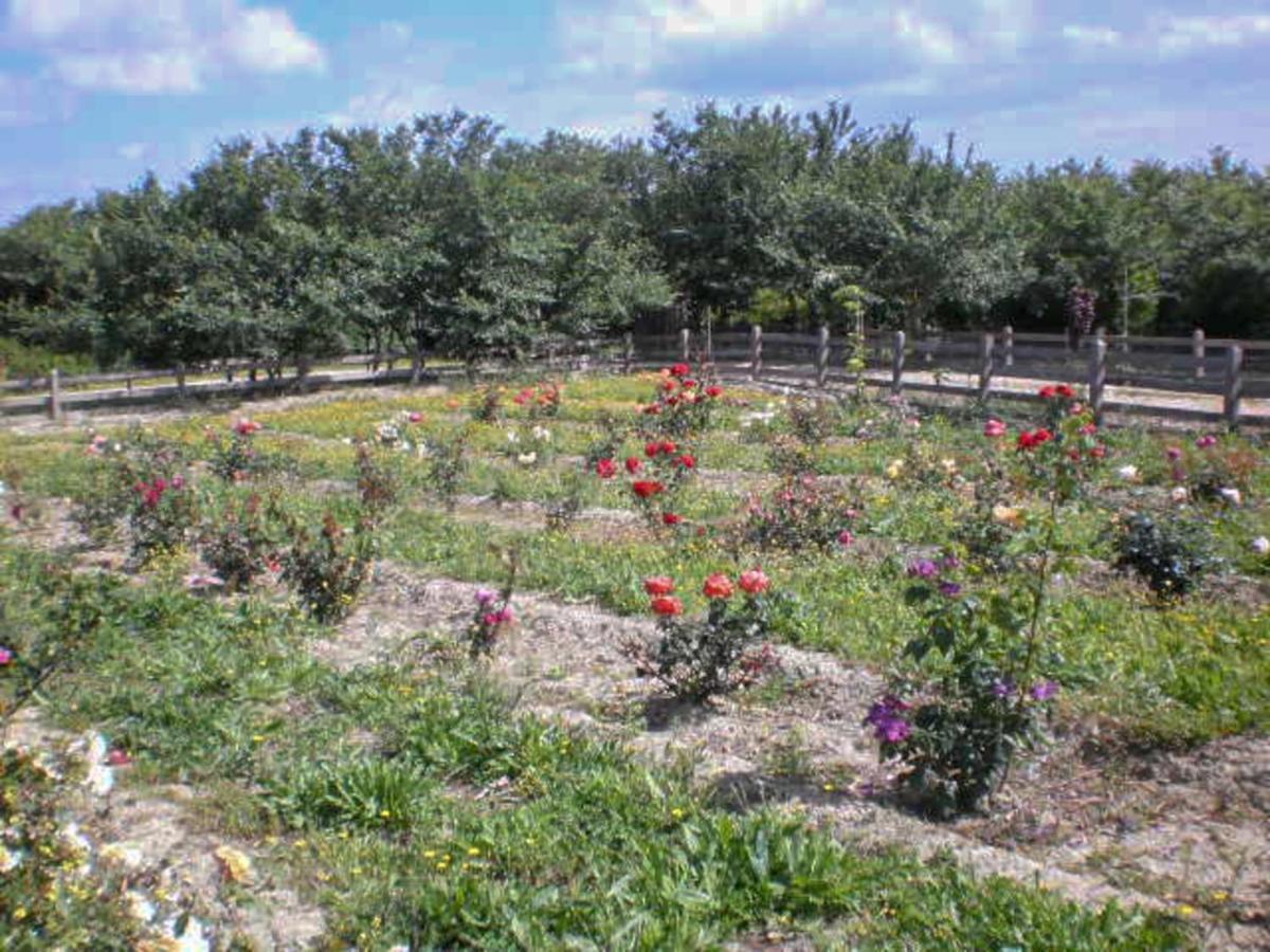 Aroggia Farm Βίλα Ξανθάτες Εξωτερικό φωτογραφία
