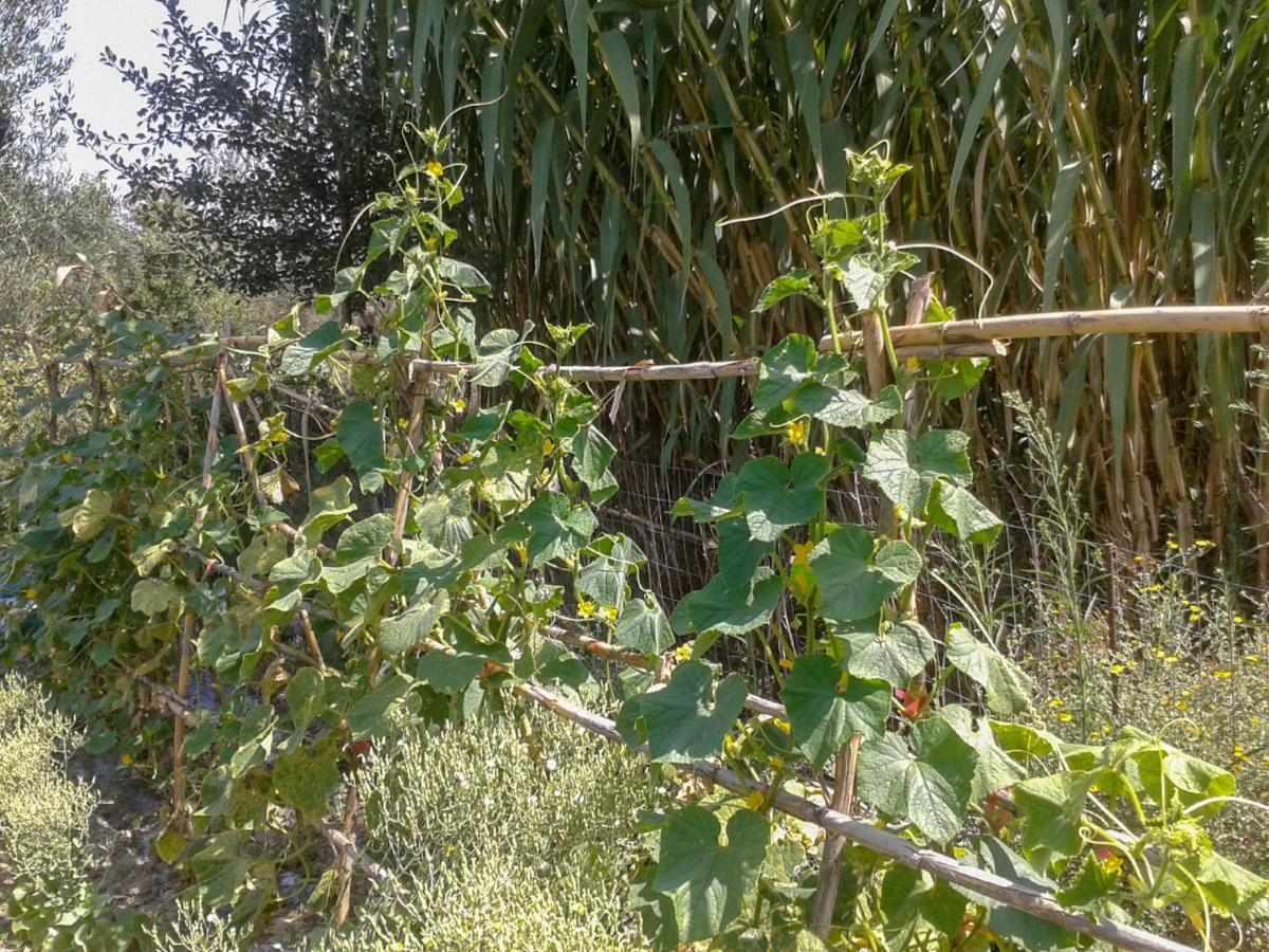 Aroggia Farm Βίλα Ξανθάτες Εξωτερικό φωτογραφία
